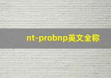 nt-probnp英文全称