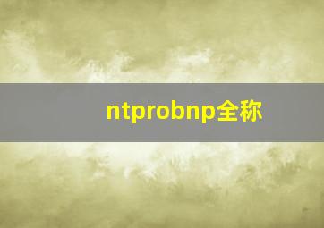 ntprobnp全称