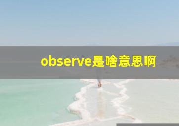 observe是啥意思啊