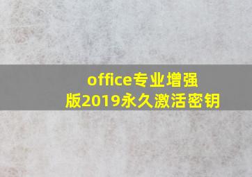 office专业增强版2019永久激活密钥