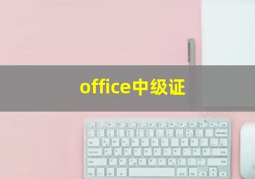 office中级证