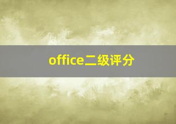 office二级评分