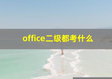 office二级都考什么