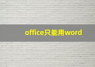 office只能用word