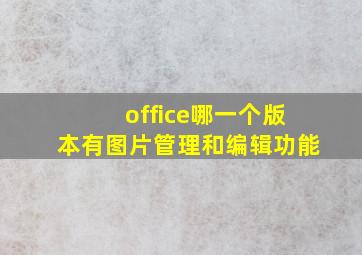 office哪一个版本有图片管理和编辑功能