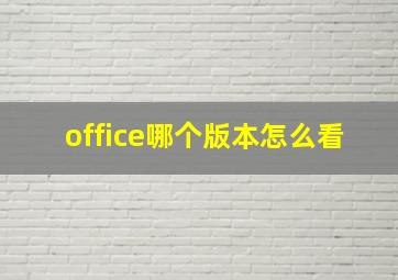 office哪个版本怎么看