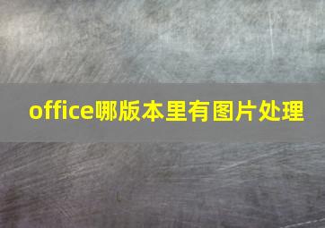 office哪版本里有图片处理