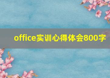 office实训心得体会800字