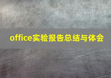 office实验报告总结与体会