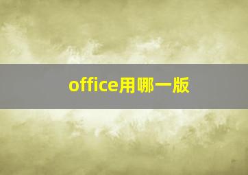 office用哪一版