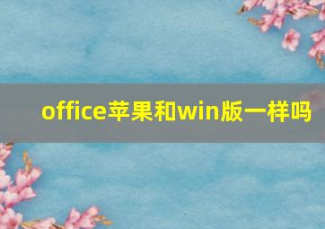 office苹果和win版一样吗