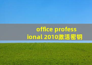 office professional 2010激活密钥