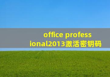 office professional2013激活密钥码