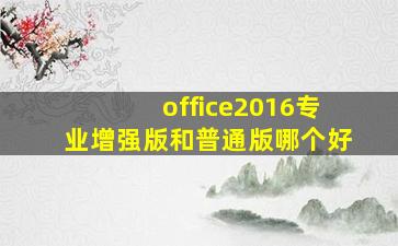 office2016专业增强版和普通版哪个好