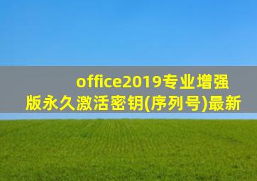 office2019专业增强版永久激活密钥(序列号)最新