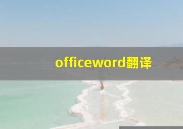 officeword翻译