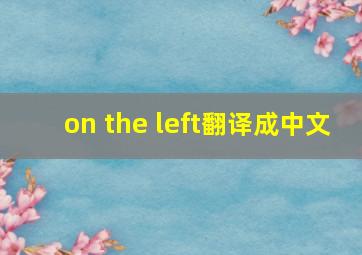 on the left翻译成中文