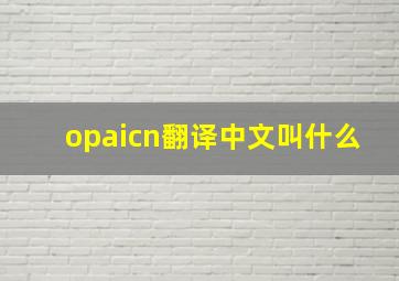 opaicn翻译中文叫什么