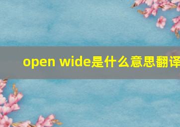 open wide是什么意思翻译