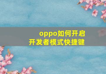 oppo如何开启开发者模式快捷键