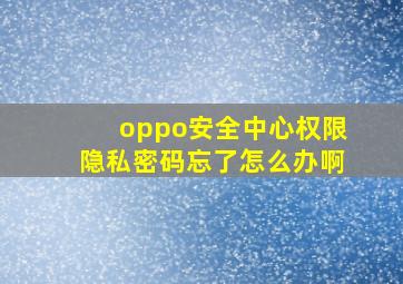 oppo安全中心权限隐私密码忘了怎么办啊