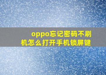 oppo忘记密码不刷机怎么打开手机锁屏键