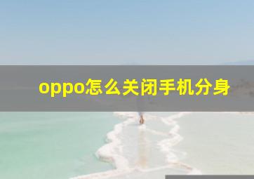 oppo怎么关闭手机分身