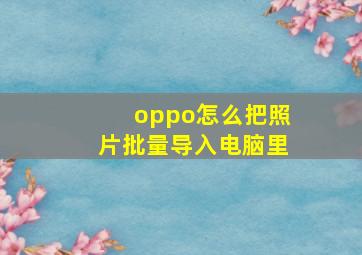 oppo怎么把照片批量导入电脑里