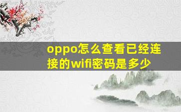 oppo怎么查看已经连接的wifi密码是多少