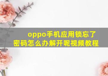 oppo手机应用锁忘了密码怎么办解开呢视频教程