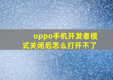 oppo手机开发者模式关闭后怎么打开不了