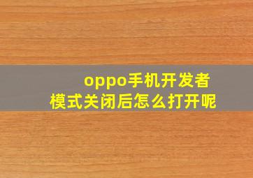 oppo手机开发者模式关闭后怎么打开呢