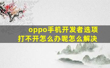 oppo手机开发者选项打不开怎么办呢怎么解决