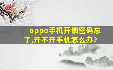 oppo手机开锁密码忘了,开不开手机怎么办?