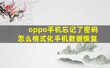 oppo手机忘记了密码怎么格式化手机数据恢复