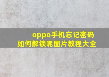 oppo手机忘记密码如何解锁呢图片教程大全