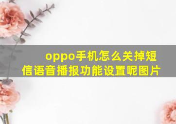 oppo手机怎么关掉短信语音播报功能设置呢图片