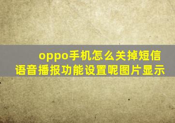 oppo手机怎么关掉短信语音播报功能设置呢图片显示