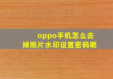 oppo手机怎么去掉照片水印设置密码呢