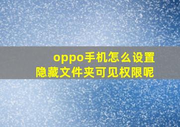 oppo手机怎么设置隐藏文件夹可见权限呢