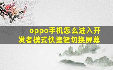 oppo手机怎么进入开发者模式快捷键切换屏幕