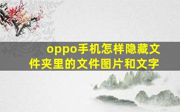 oppo手机怎样隐藏文件夹里的文件图片和文字