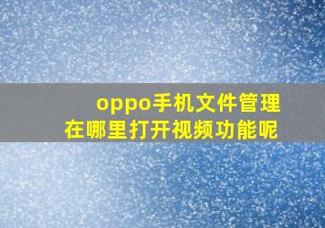 oppo手机文件管理在哪里打开视频功能呢