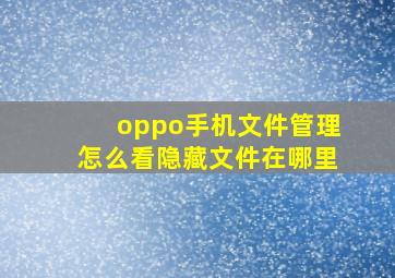 oppo手机文件管理怎么看隐藏文件在哪里