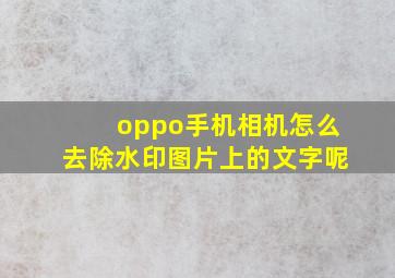 oppo手机相机怎么去除水印图片上的文字呢