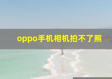 oppo手机相机拍不了照