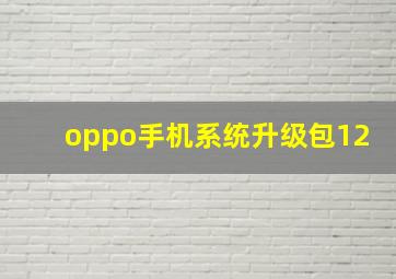 oppo手机系统升级包12