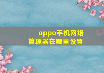 oppo手机网络管理器在哪里设置