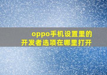 oppo手机设置里的开发者选项在哪里打开