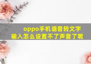 oppo手机语音转文字输入怎么设置不了声音了呢